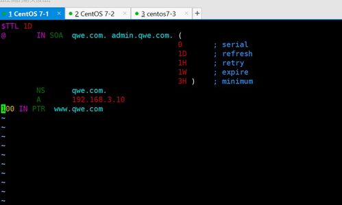 DNS反向解析、主從域名服務器、分離解析與互聯網域名根服務器運行機制解析