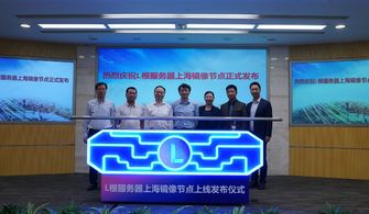 中國(guó)互聯(lián)網(wǎng)迎來(lái)新篇章 上海鏡像根服務(wù)器節(jié)點(diǎn)正式上線